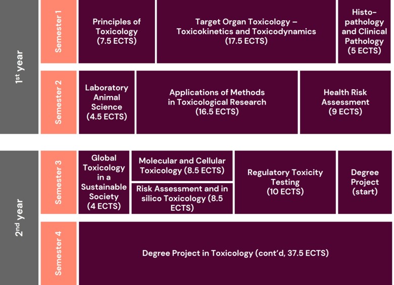 Programme overview