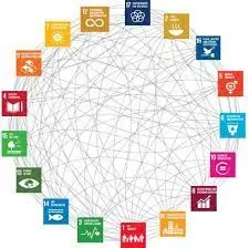 SDG interlinkages analysis and applications for integrated policy making