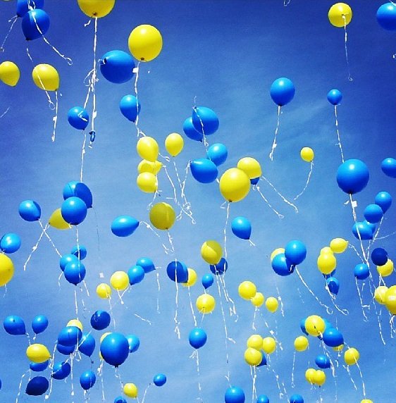 Blue and Yellow Balloons. Photo: Karin Forslund