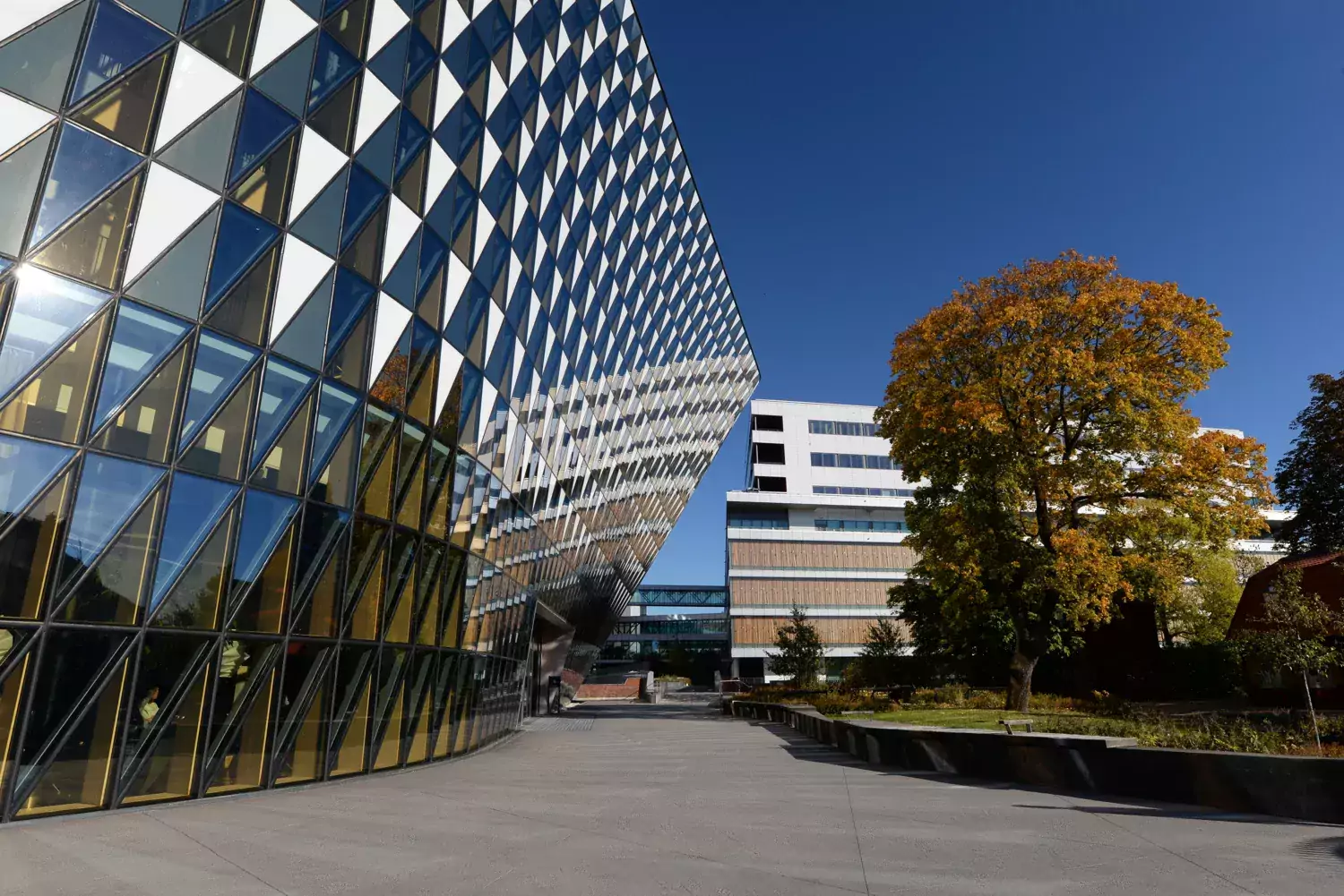 The glass facade of the Aula Medica. Next to it stands a large tree with colorful leaves.