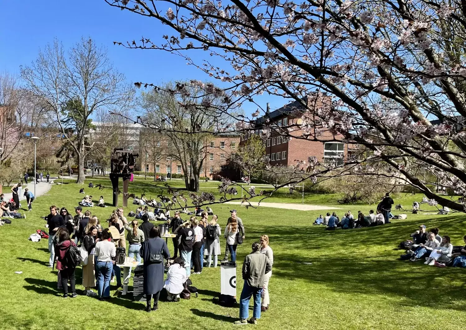 KI's president mingles with students on a sunny lawn.
