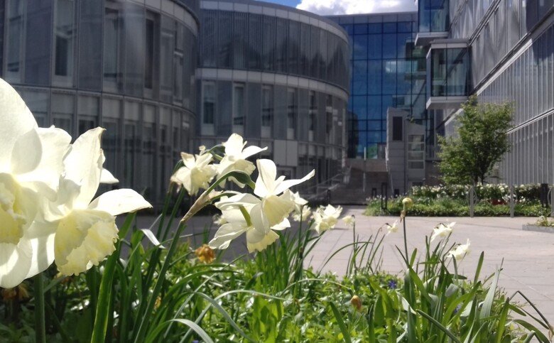 buidling with flowers in the foreground