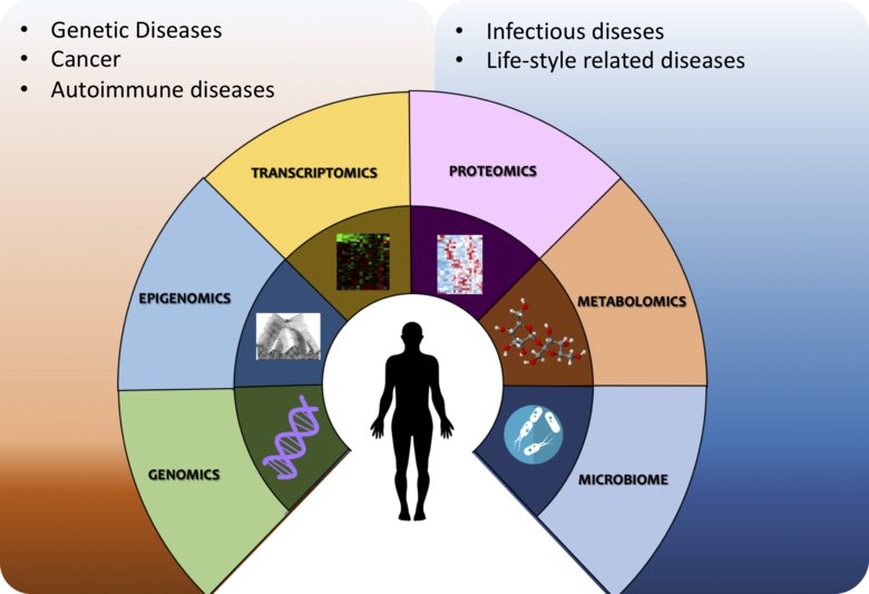 Graphic illustration of: Multi-omics system biology study in aging