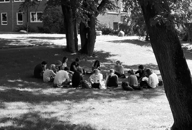 Internationella studenter undervisas utomhus i solen